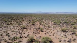 Tucson Desert